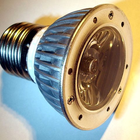 Demo photograph: bulb