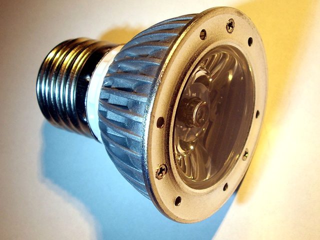 Demo photograph: bulb