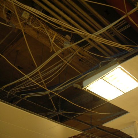 Demo photograph: panel
