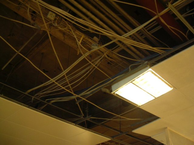 Demo photograph: panel